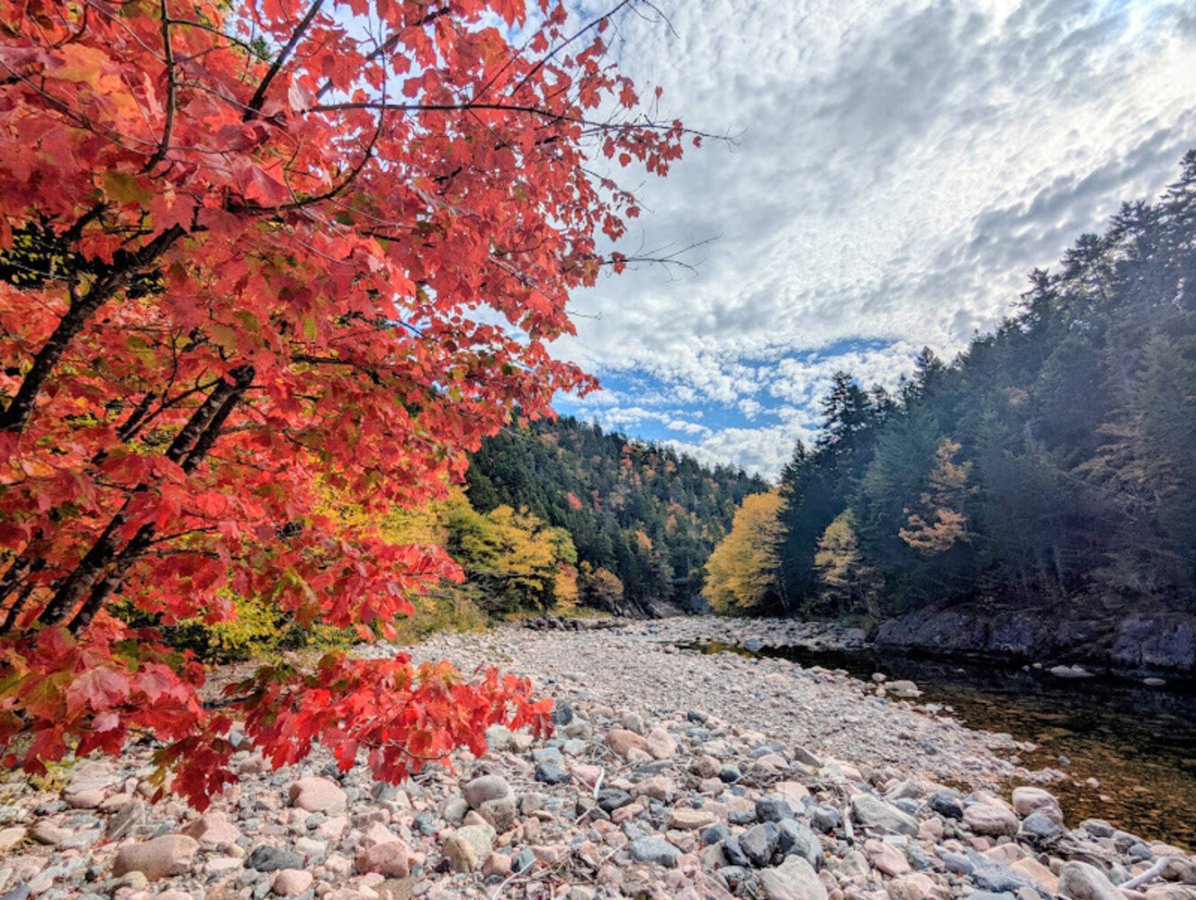 Guided Hiking Experiences at Fundy Trail - October series